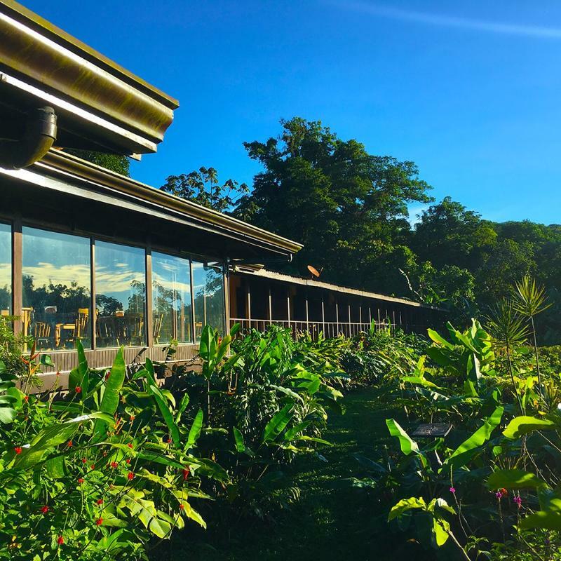El Castillo 阿雷纳维斯塔旅舍酒店 外观 照片